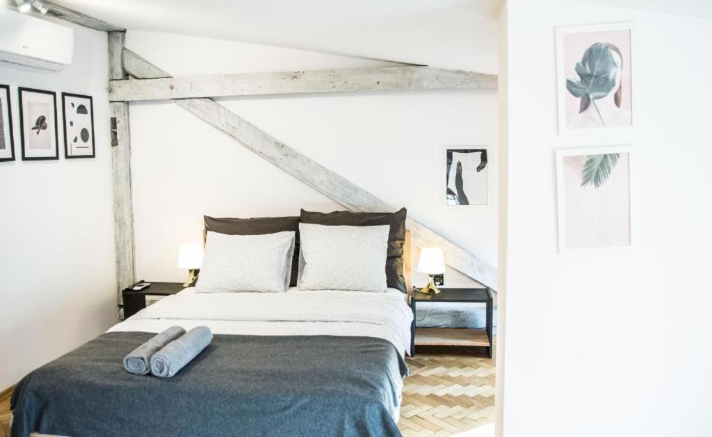 Lion Apartments - Silver คราคูฟ ภายนอก รูปภาพ